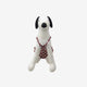 Alfie Pet Dog Toys