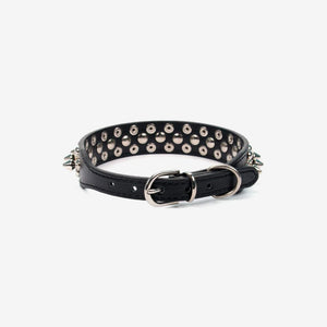 Spiked Studded Dog & Cat