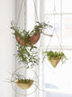 Hanging Planter