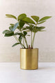 Mod Metal Planter